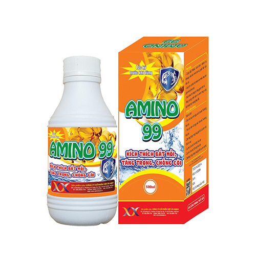 AMINO 99